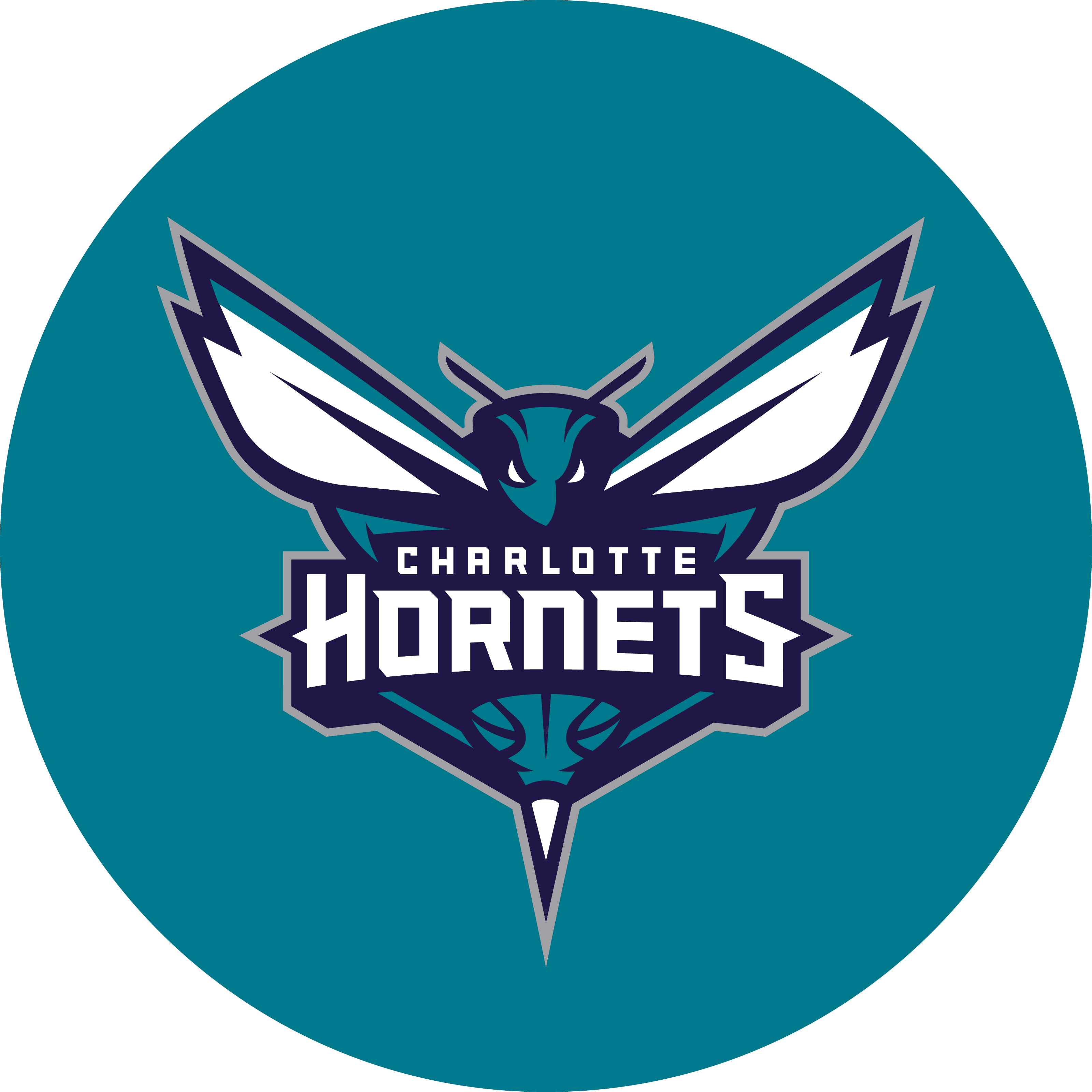 charlottehornets&nbsp; Variant