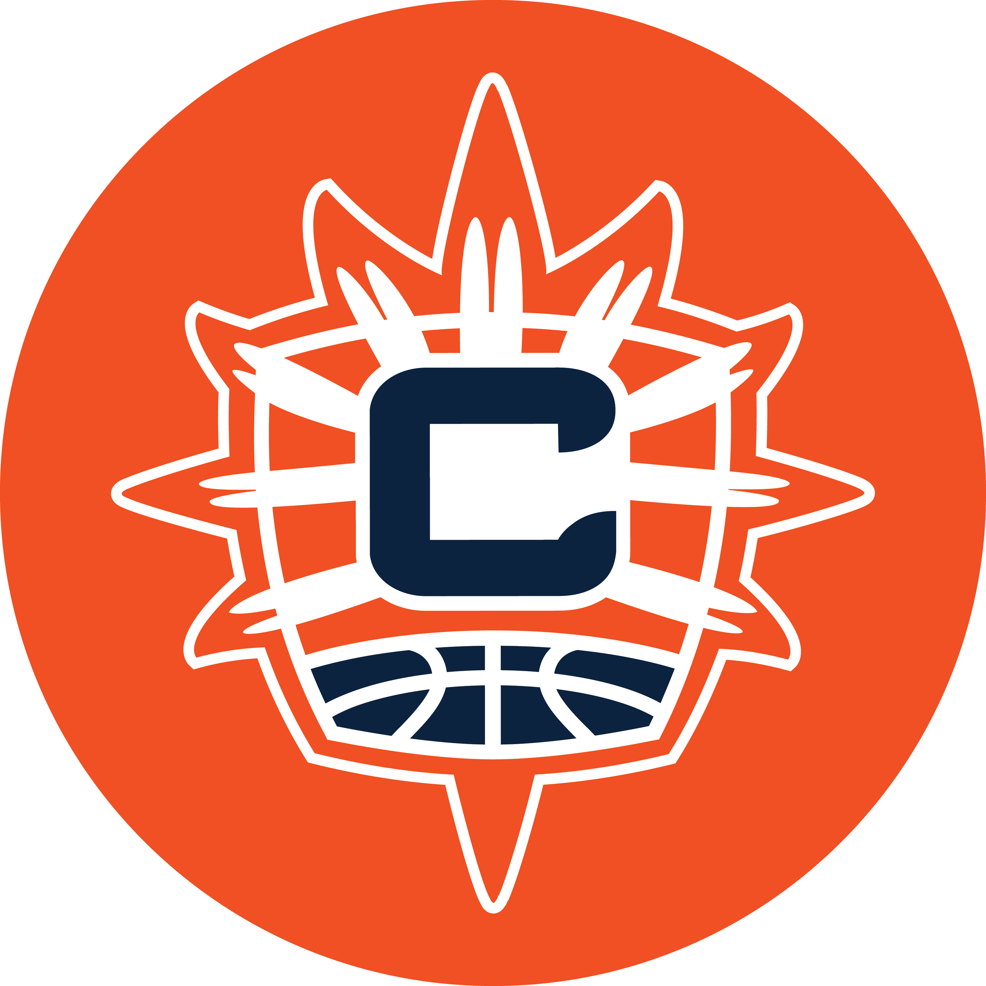 connecticutsun&nbsp; Variant