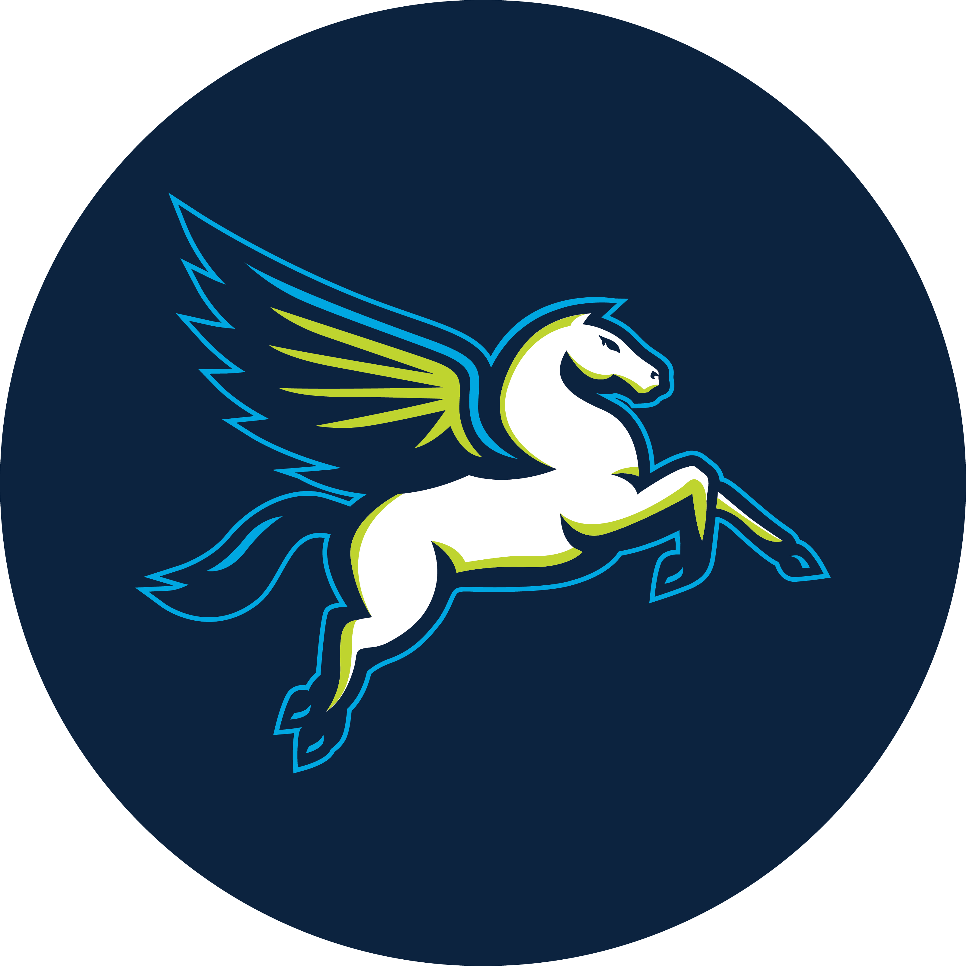 dallaswings&nbsp; Variant