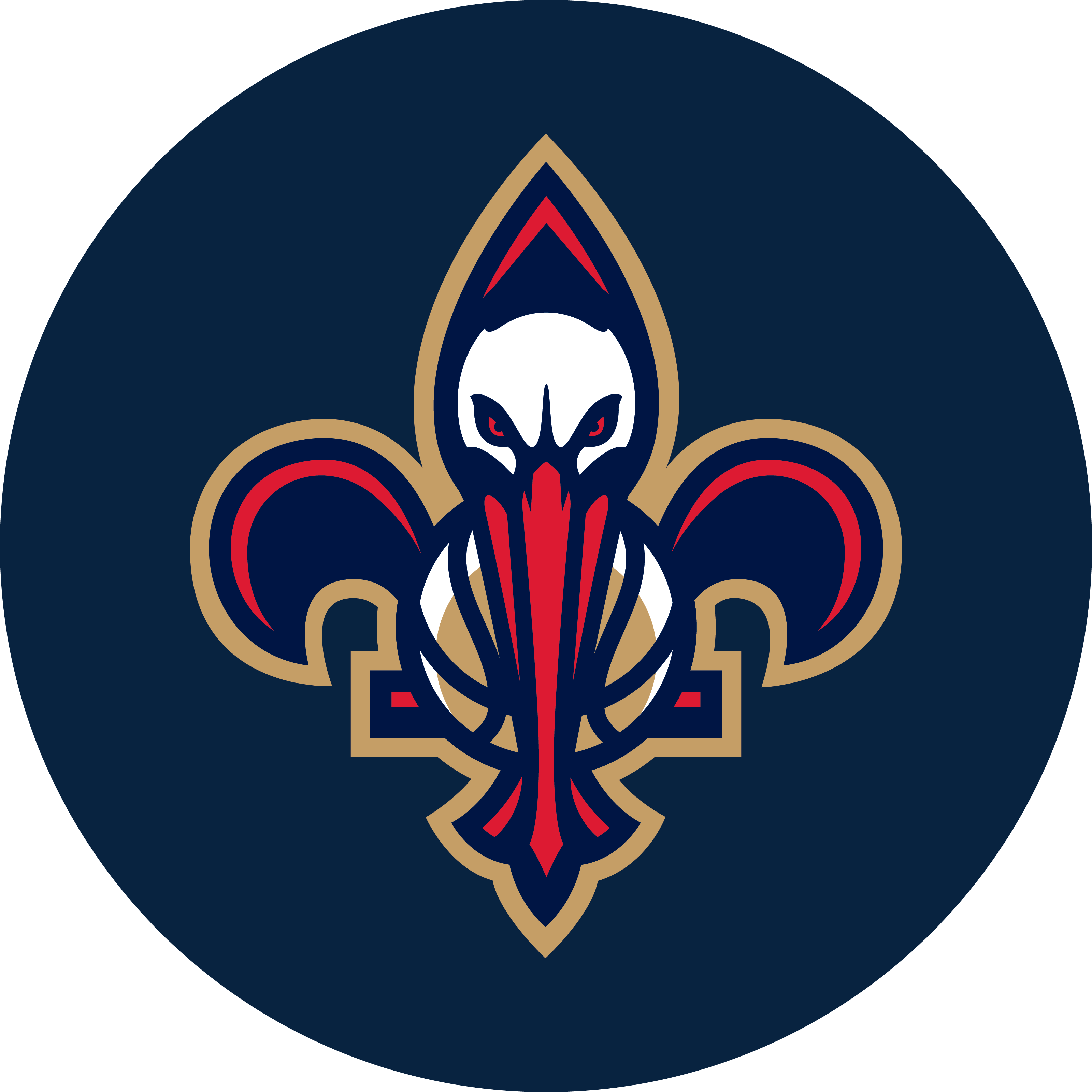neworleanspelicans&nbsp; Variant