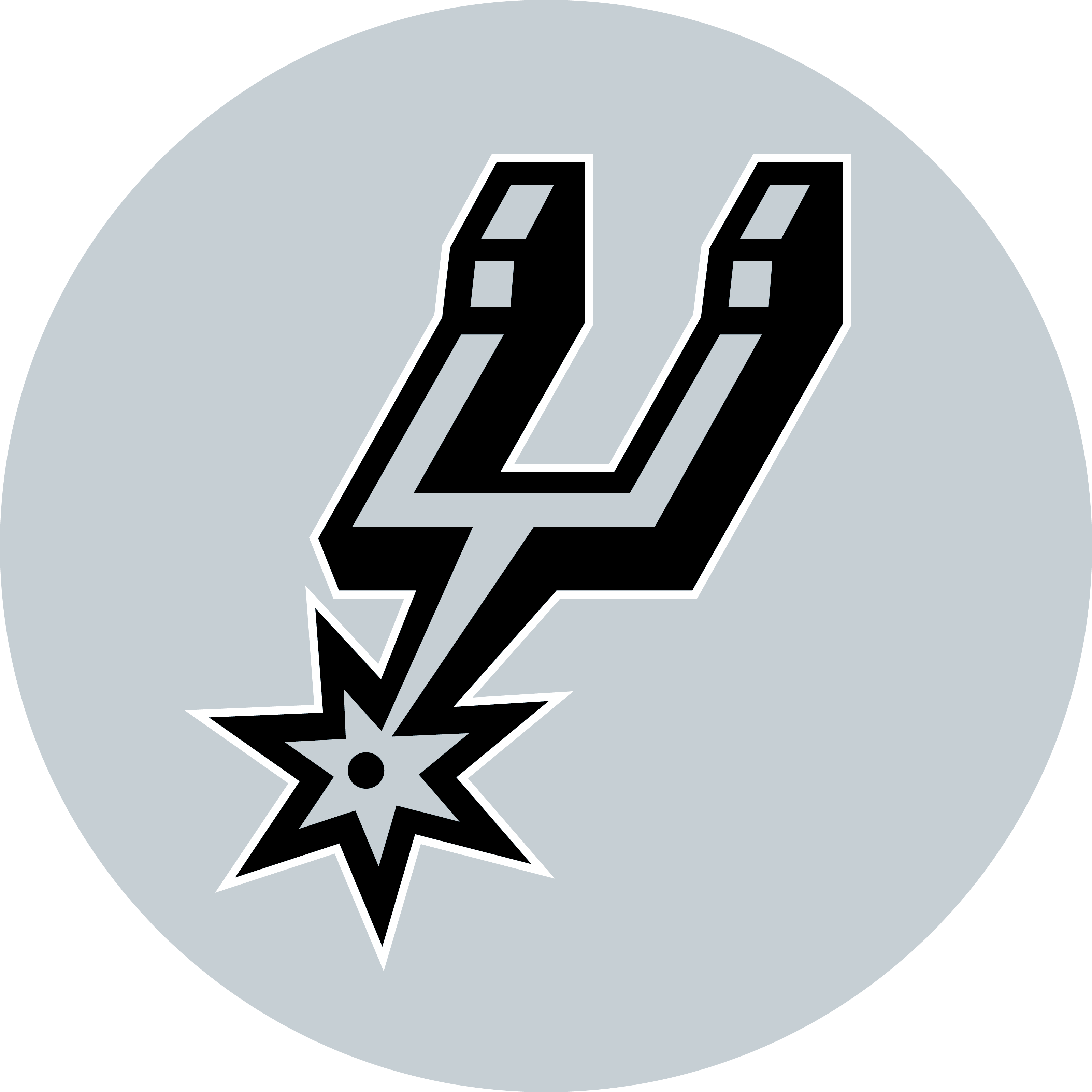 sanantoniospurs&nbsp; Variant