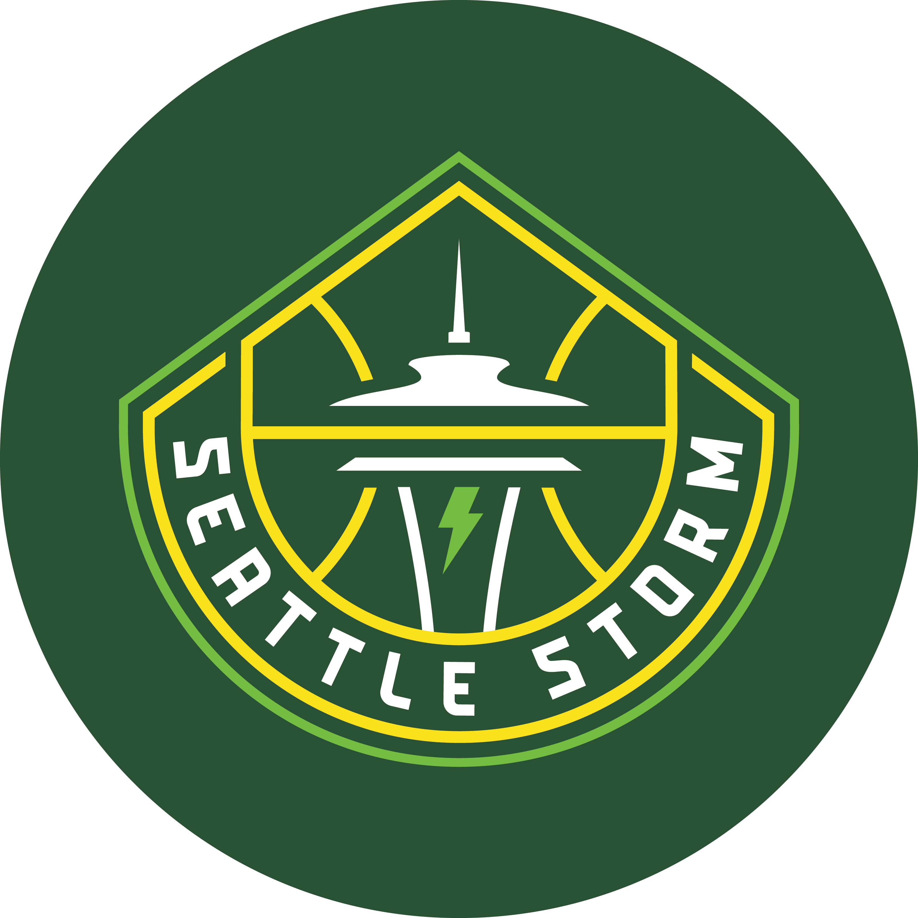 seattlestorm&nbsp; Variant